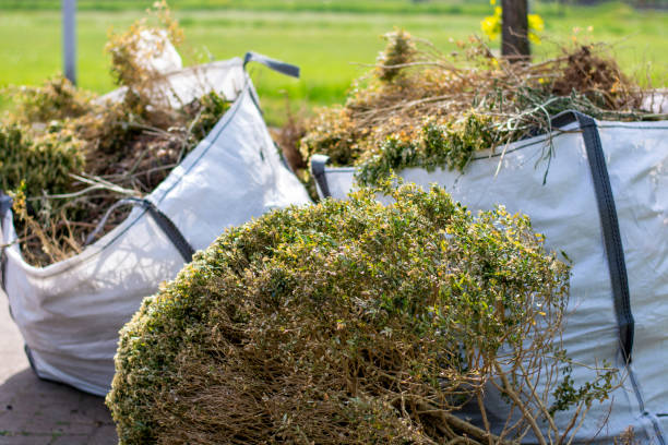 Best Residential Junk Removal  in Lake Holiday, VA